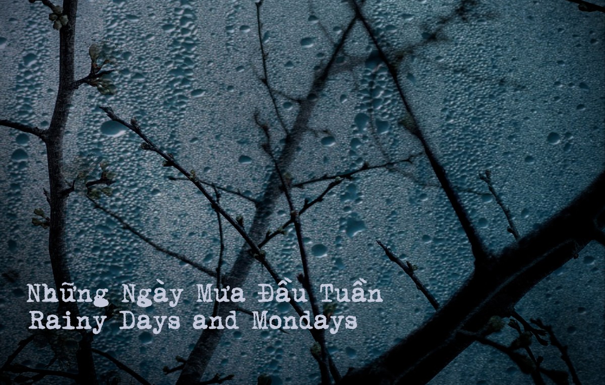 Những Ngày Mưa Đầu&nbsp;Tuần