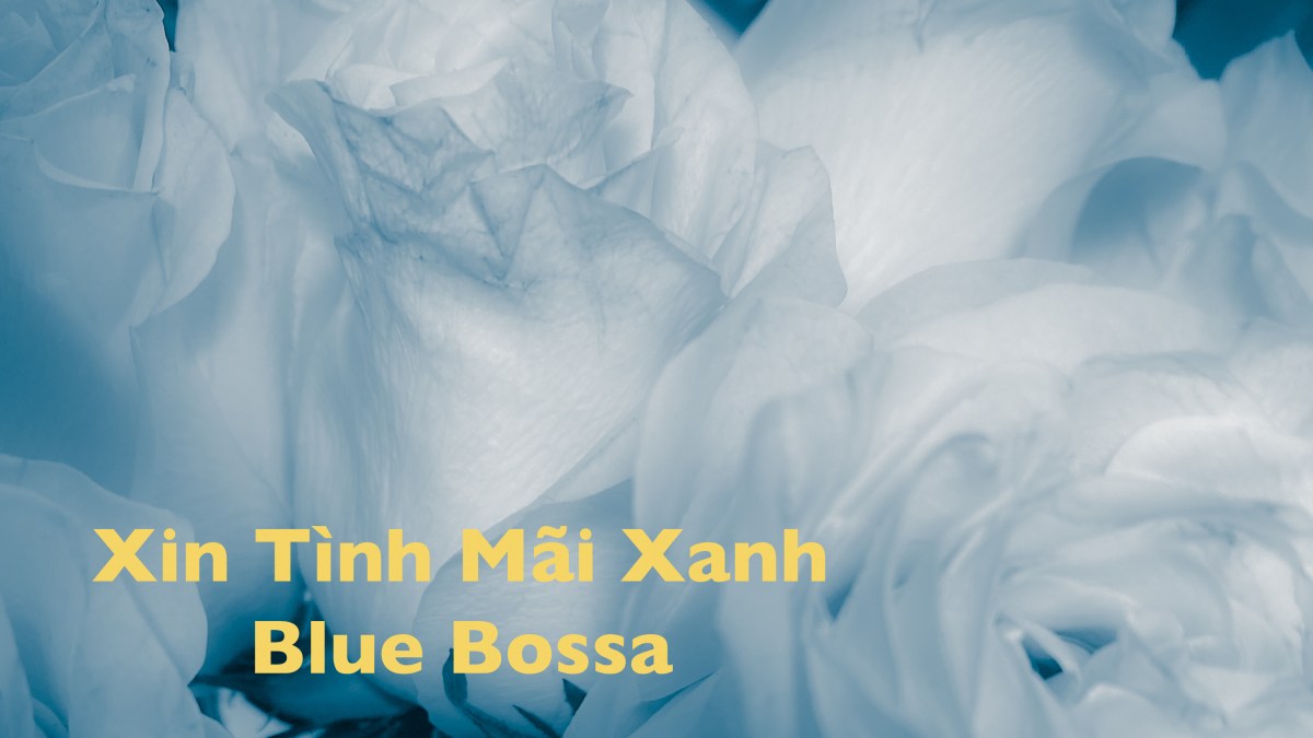 Xin Tình Mãi&nbsp;Xanh